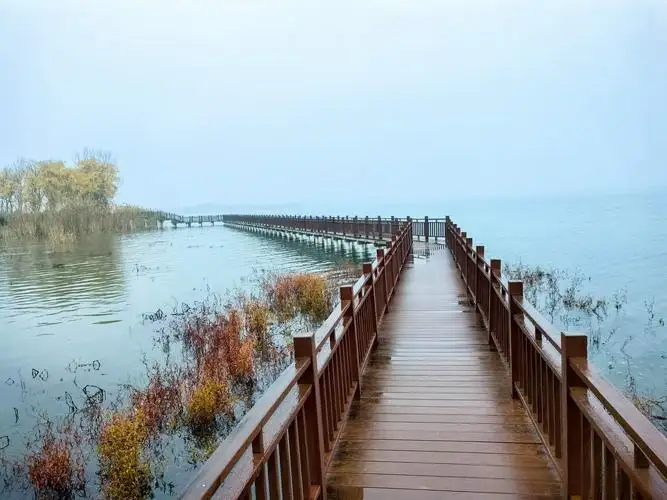 茅山湖
