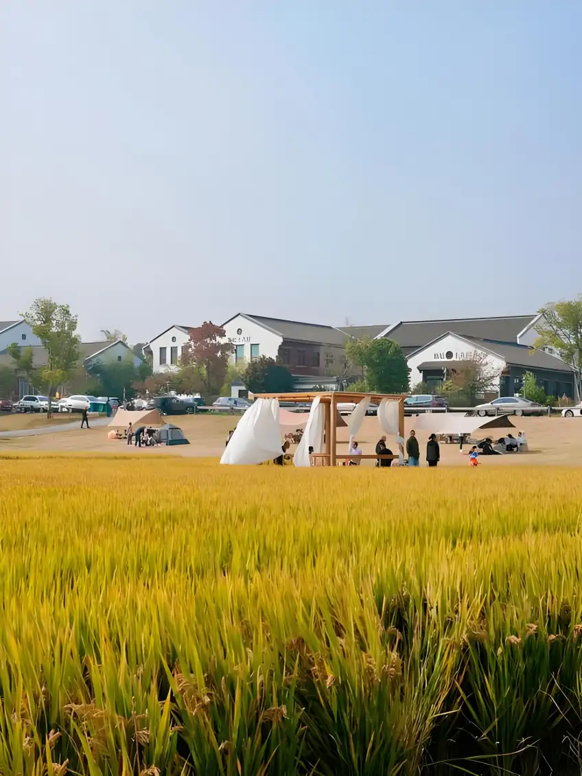 茅麓古村白牆灰瓦石板街巷