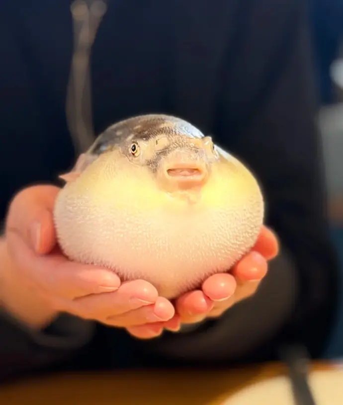 镇江永安鱼庄