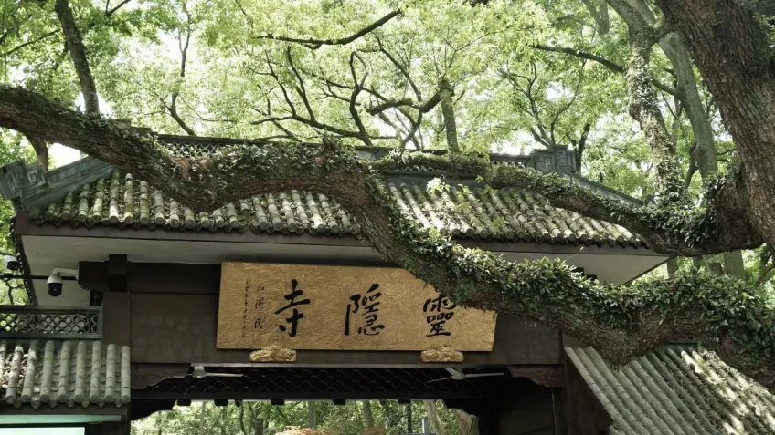 杭州灵隐寺山门木匾与古树
