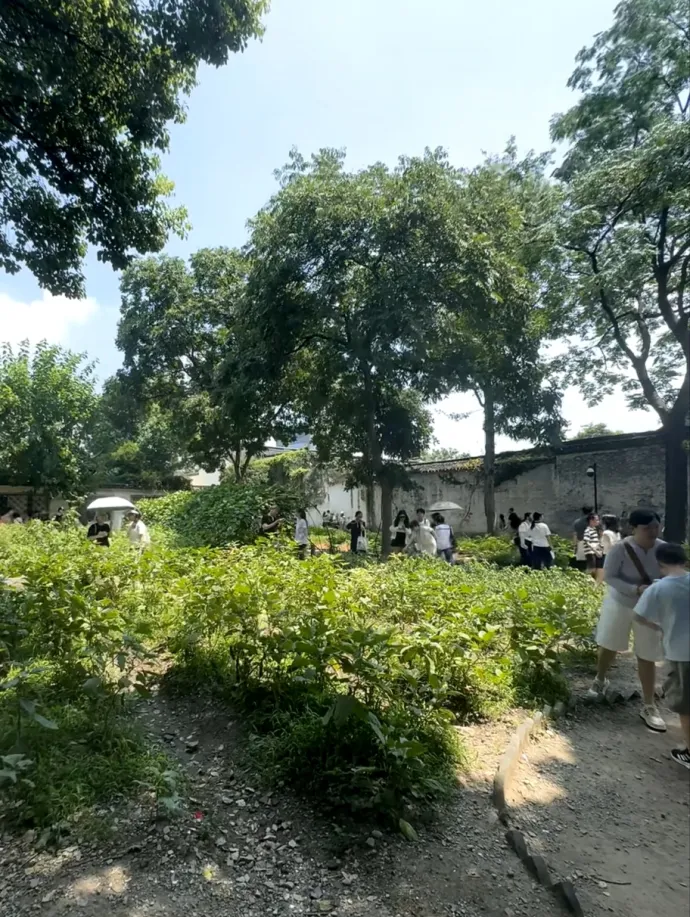 百草园