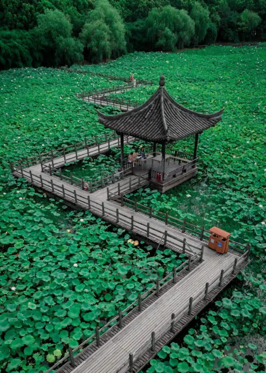 荷塘亭子與木棧道