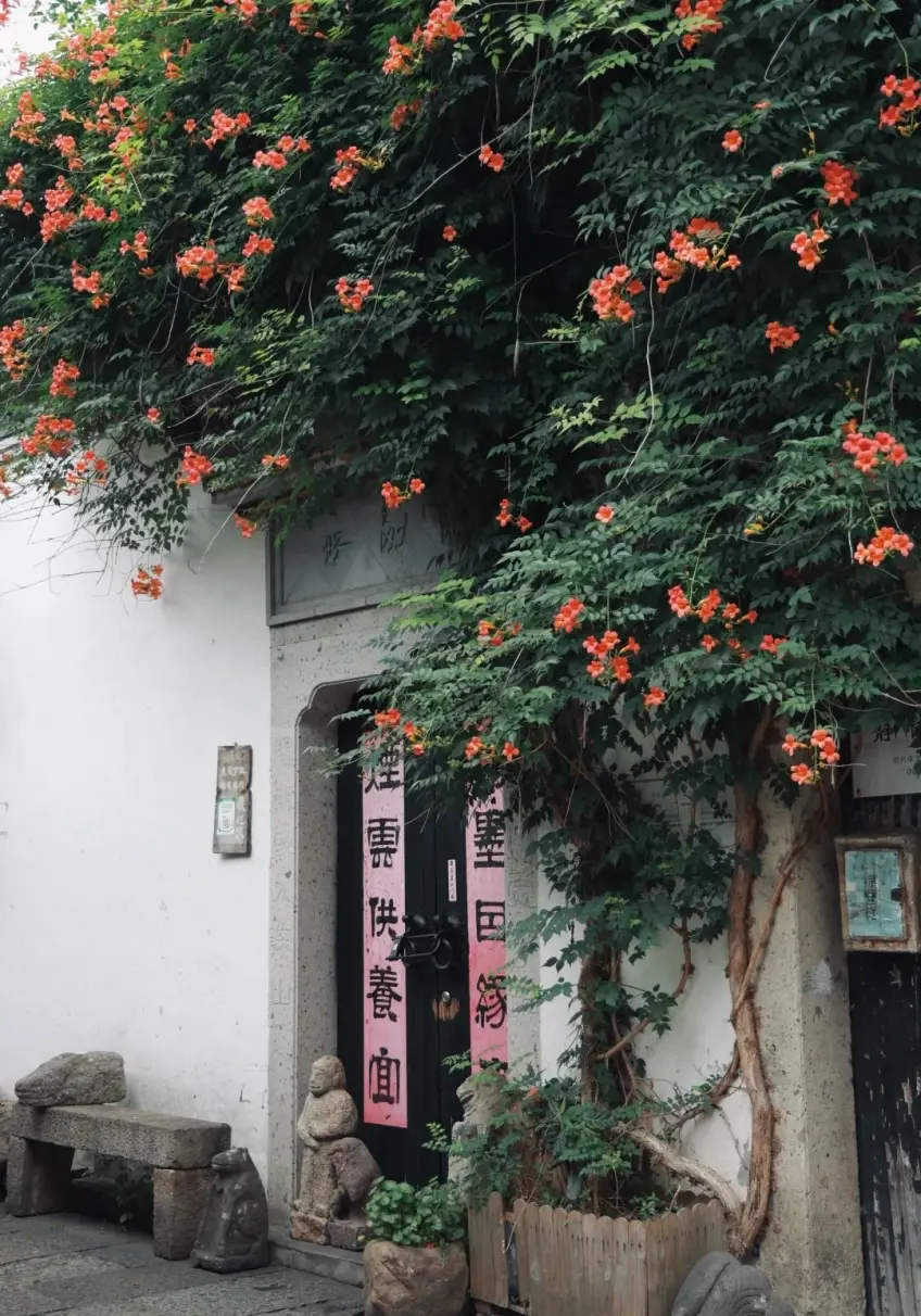 門廊凌霄橙花垂掛