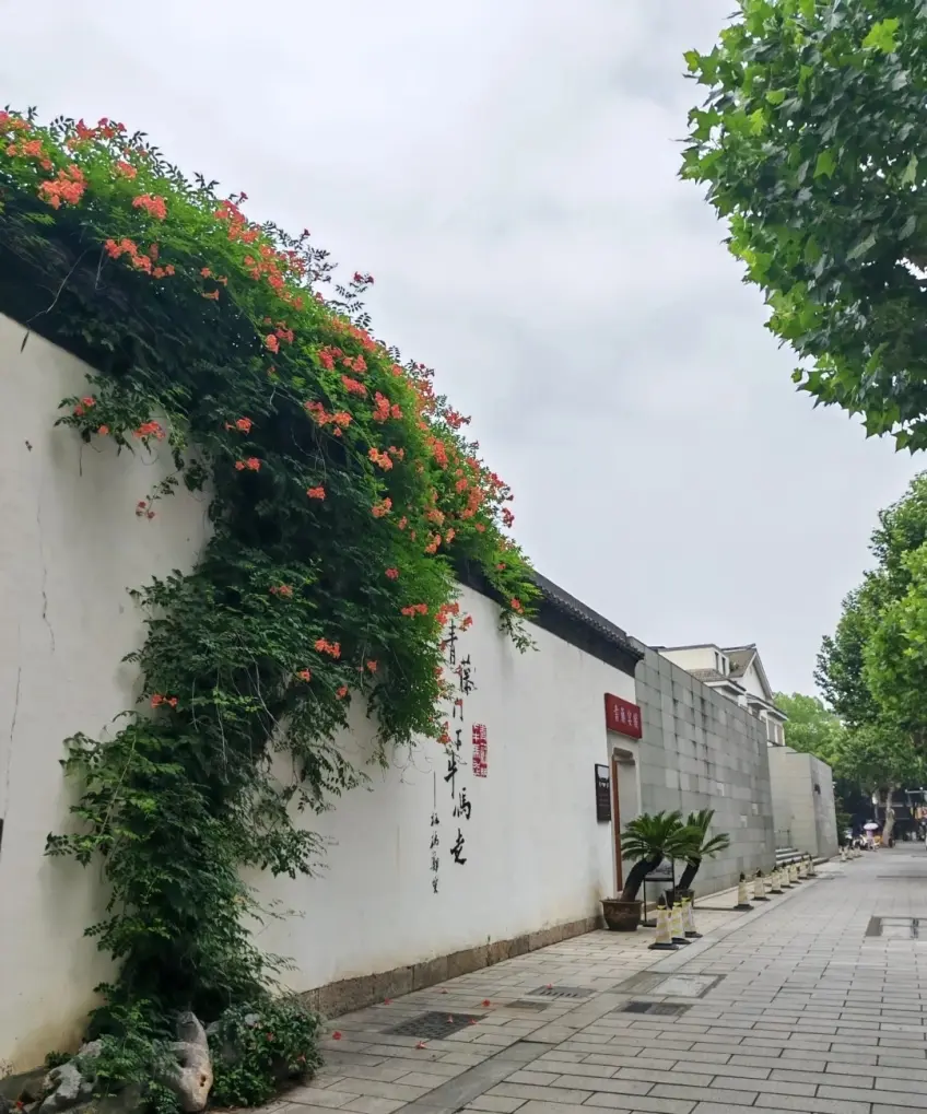 白牆凌霄與石板街