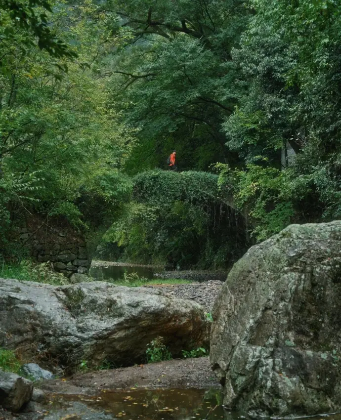 斑竹村