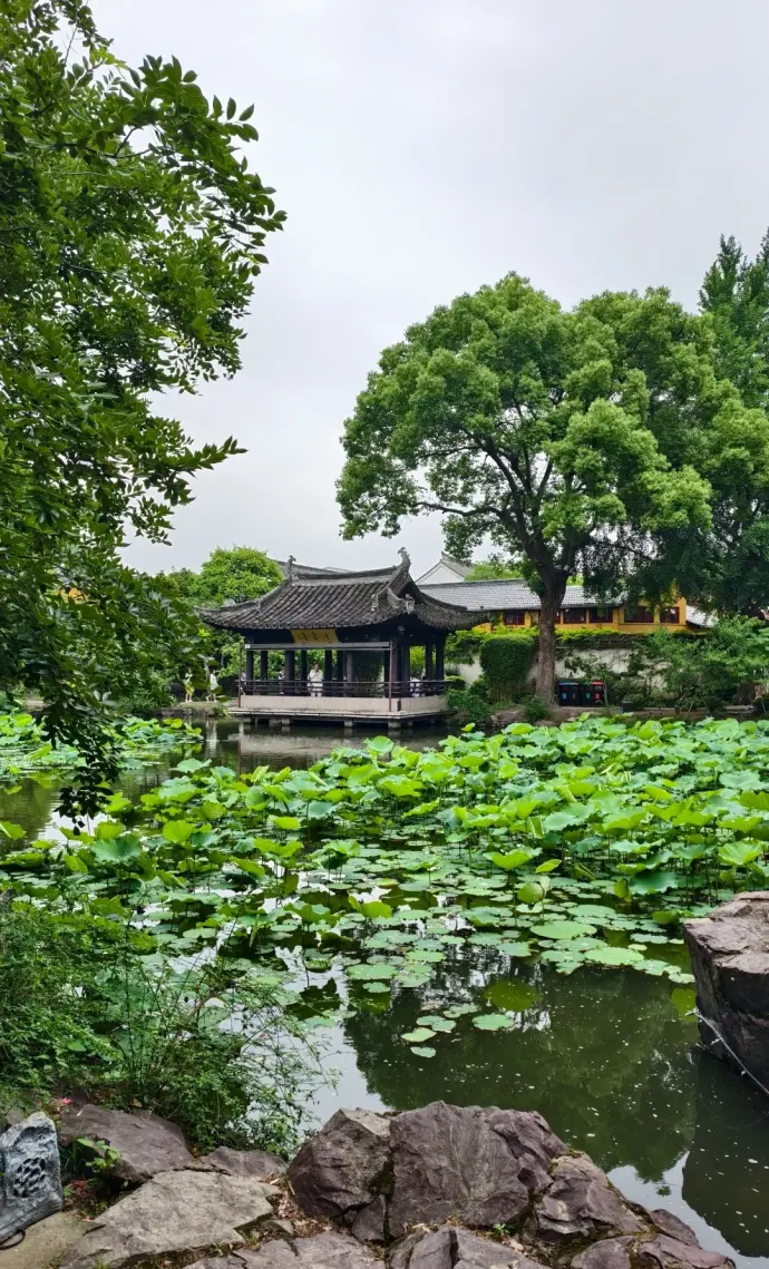 沈园