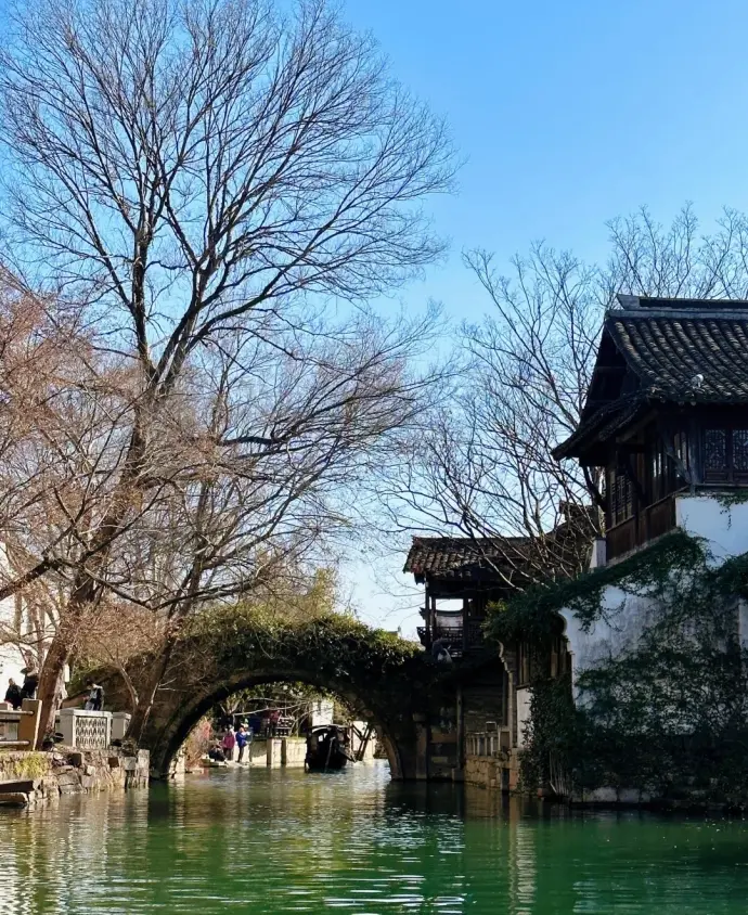桐乡