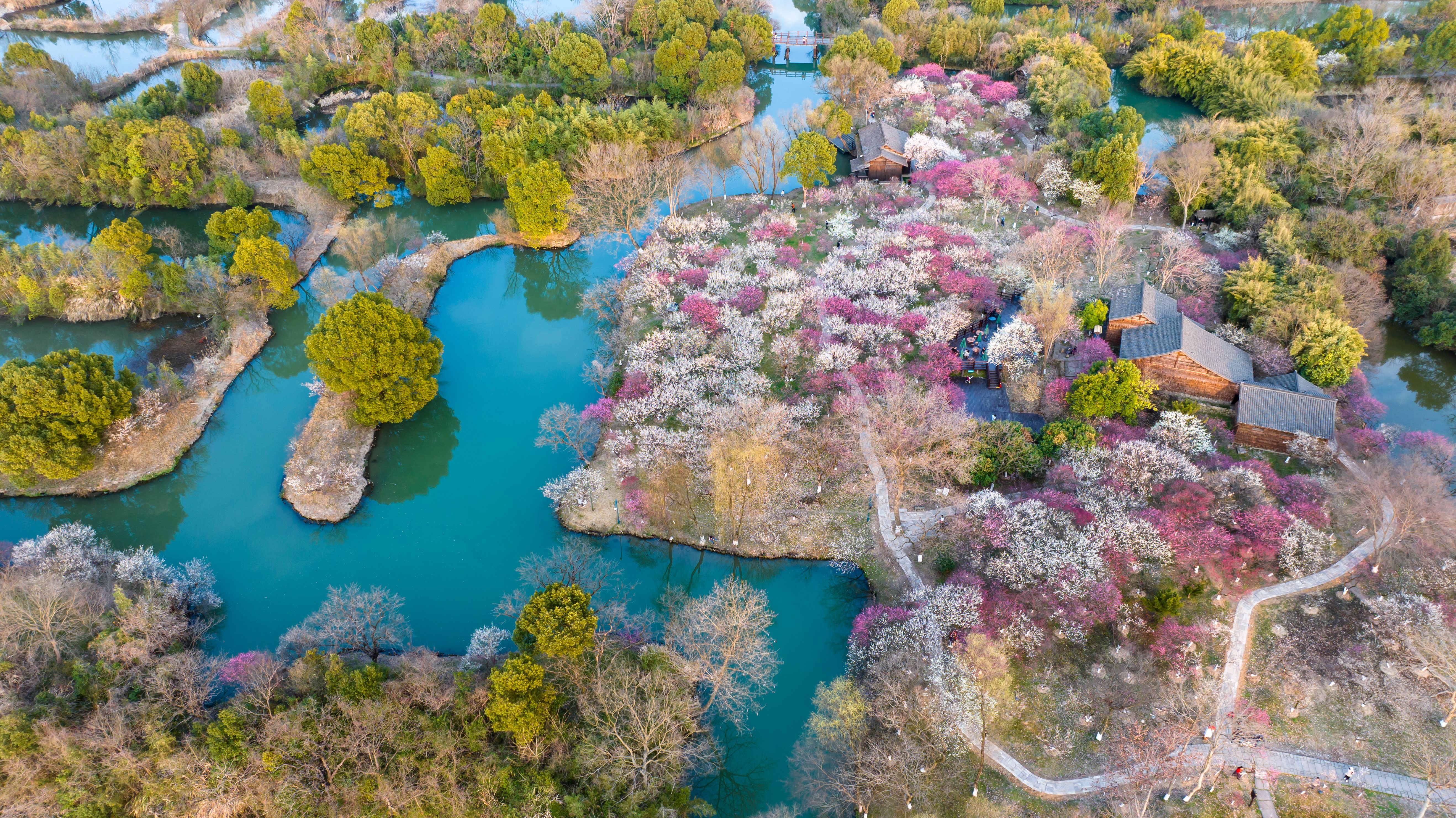 西溪湿地