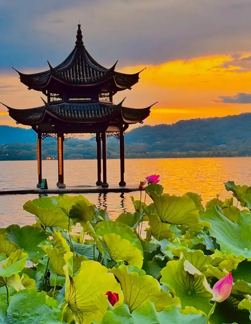 杭州西湖荷花亭臺夕照豎圖