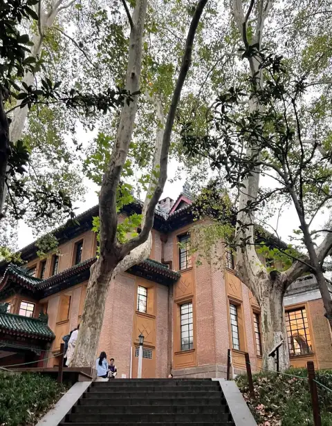 第一次到南京怎么安排？历史文化导游、家庭包车与慢游路线规划指南