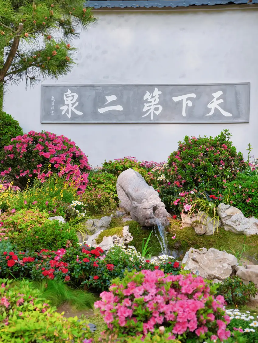 龍首吐水杜鵑環繞泉碑示意
