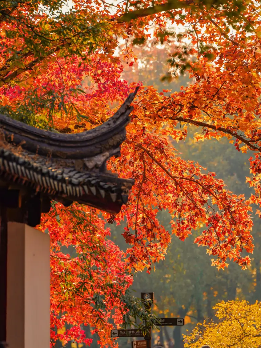 飛簷紅葉與高義園路標示意
