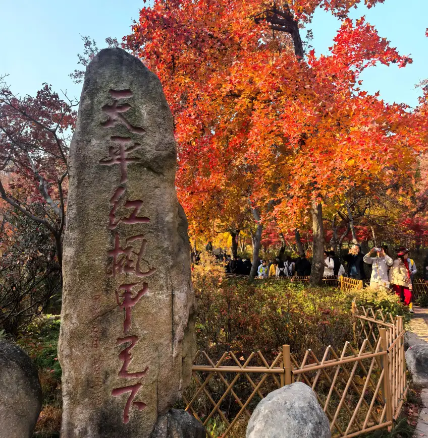 天平山石碑刻天平紅楓甲天下與秋葉