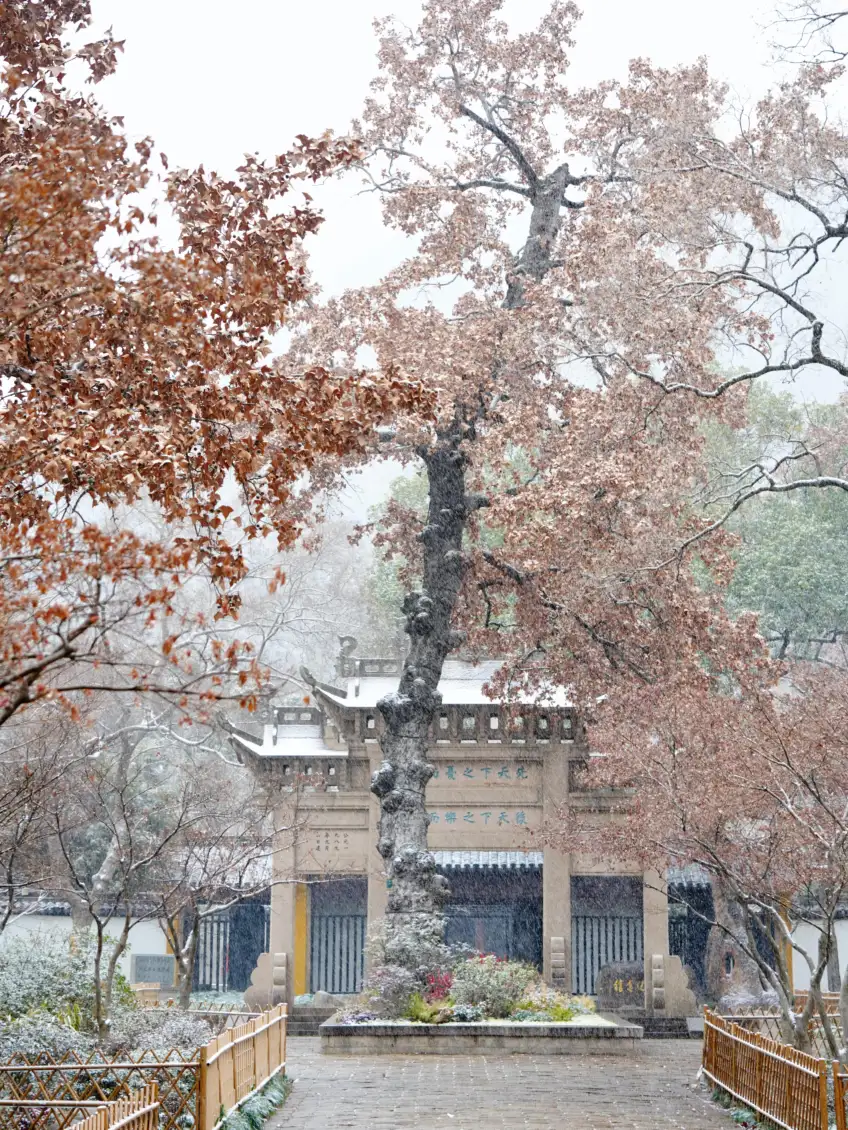 雪中石坊枯葉薄雪霧氣示意