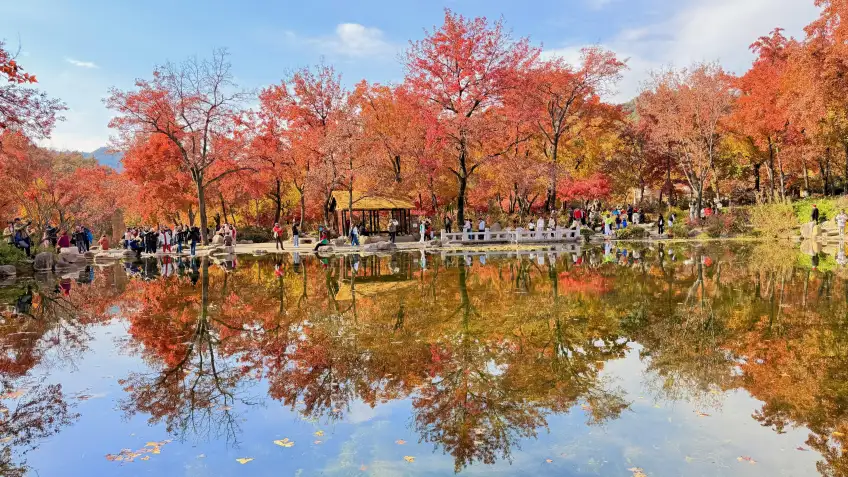 天平山十景塘紅葉倒影與岸邊遊人