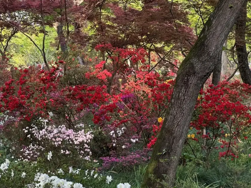 天平山景區