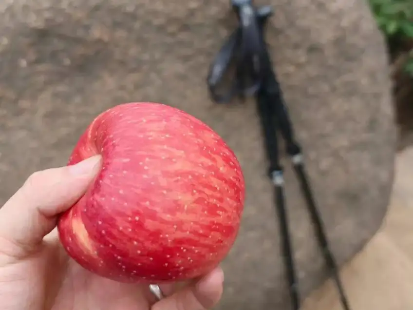 登山途中手持紅蘋果與登山杖