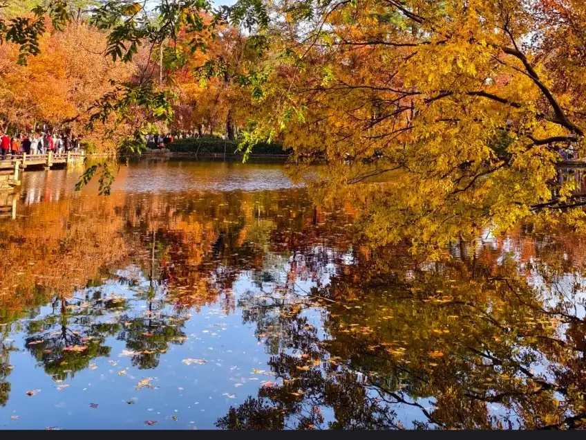 蘇州天平山秋季紅楓倒映在池水中