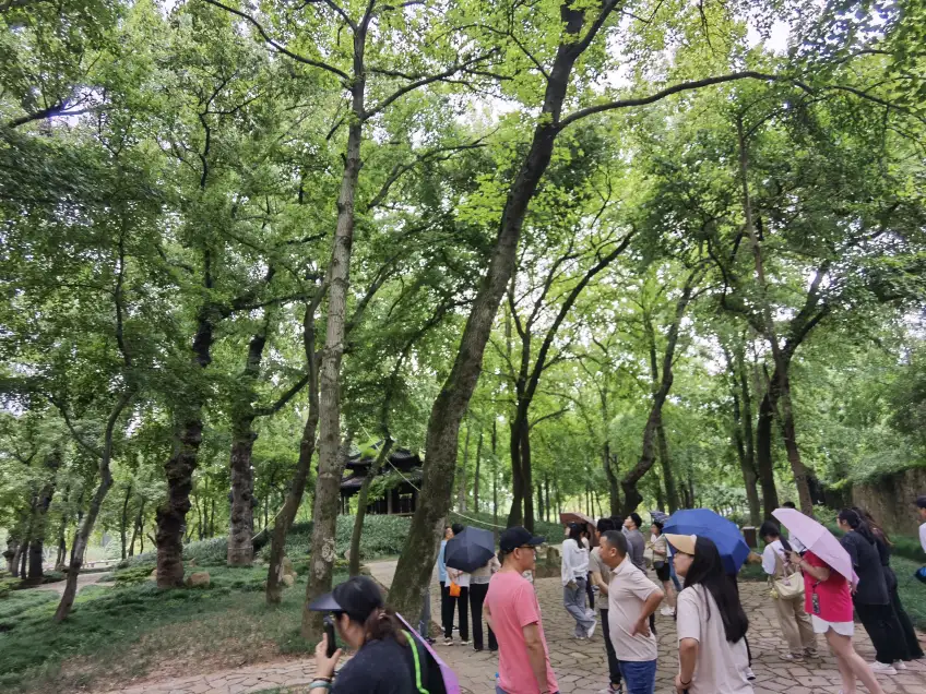 天平山徒步