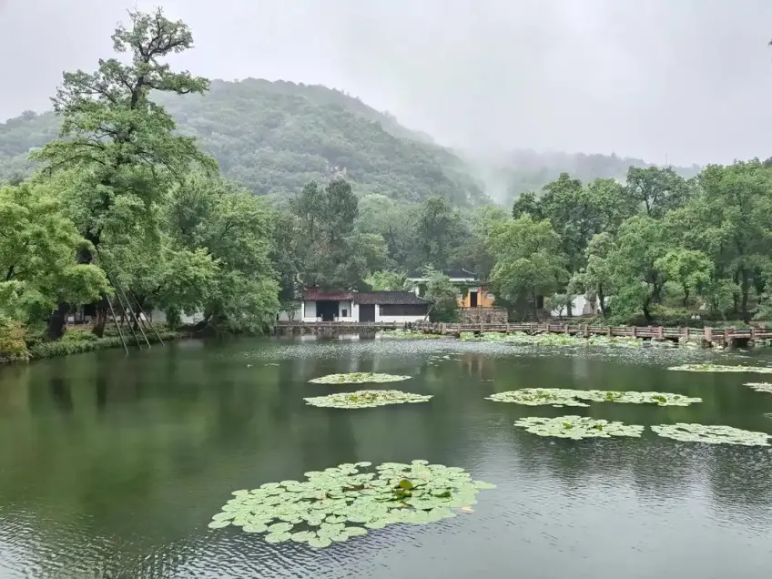 天平山十景塘荷葉與山霧遠景
