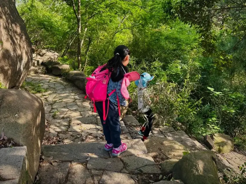 天平山林蔭石階親子緩步