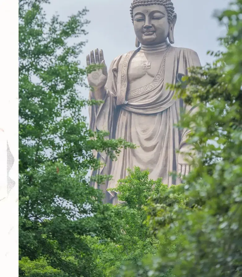 无锡灵山大佛半身像被盛夏绿树环绕