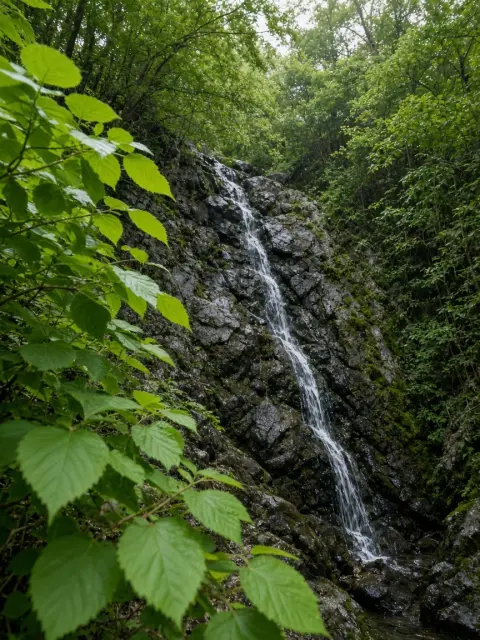 谁还在茅山人挤人?镇江旅游攻略,句容茅山周边小众打卡点全整理