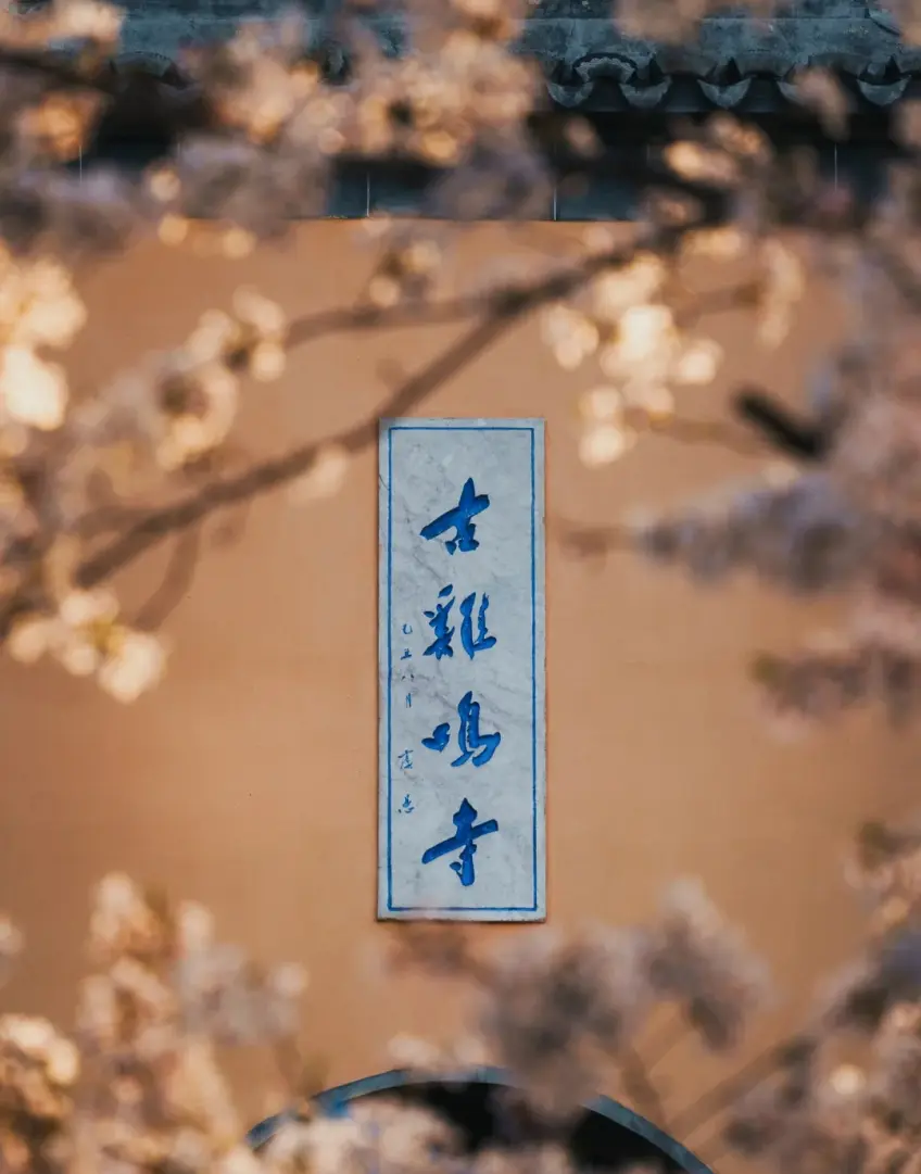 南京鸡鸣寺古鸡鸣寺匾额樱花框示意