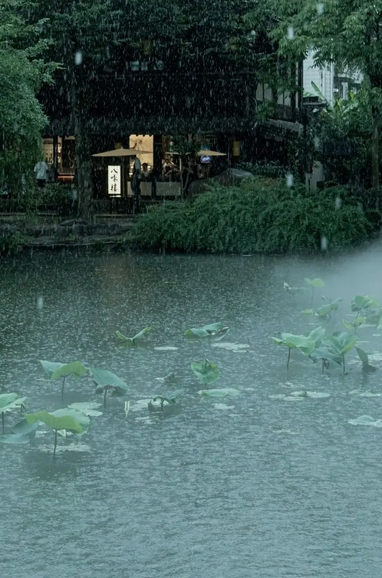 雨中蓮池漣漪與對岸樓廊燈火綠蔭